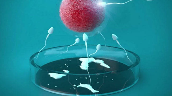 非排卵期怎么会怀孕，非排卵期怀孕概率大吗