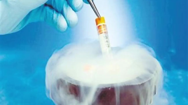 丫丫排卵期测试器(排卵期测试方法)